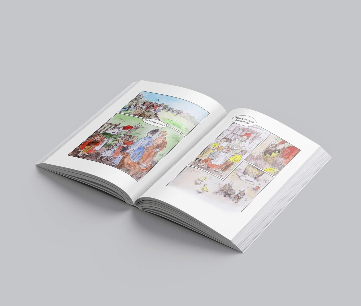 Komiksová Babička Boženy Němcové